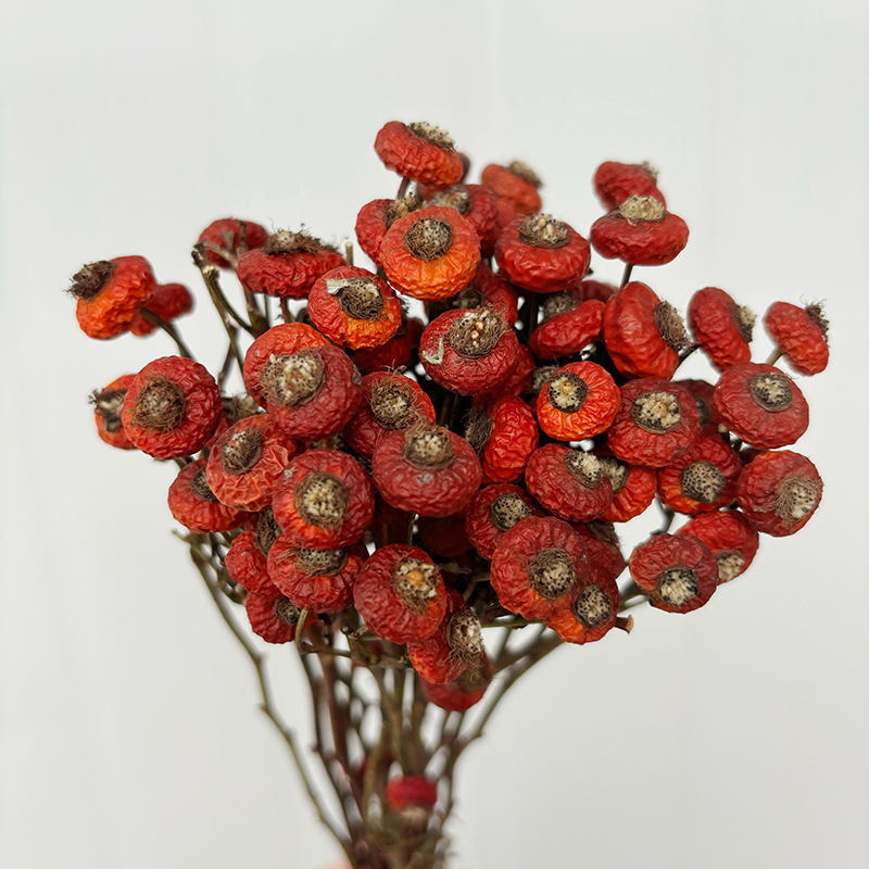 Dried Flower Bulk - 10 adet/demet kurutulmuş kuşburnu çiçekleri doğal