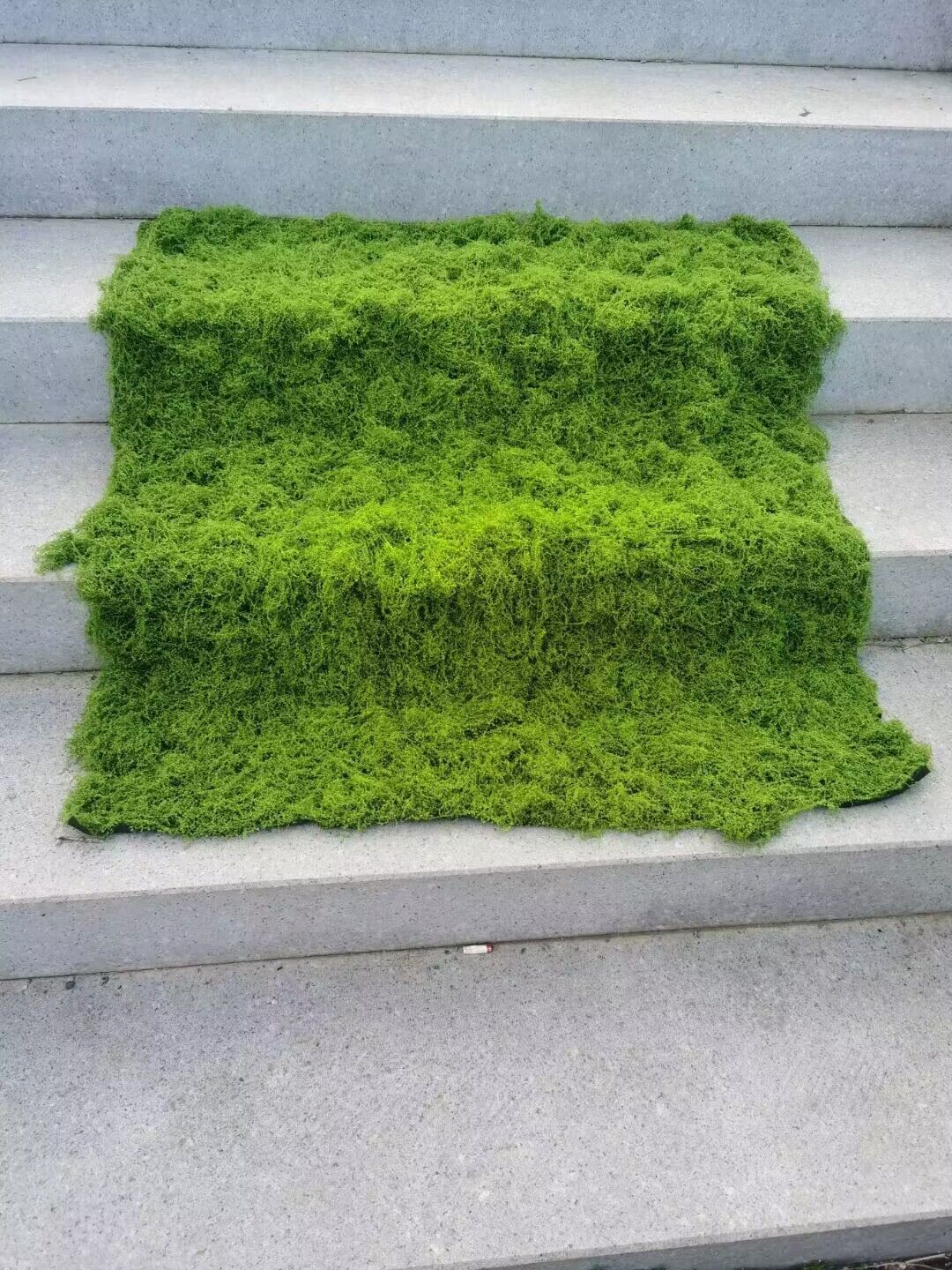 Terrarium Moss Art - Aqumotic Suni Çim Simülasyon Yosun Çim