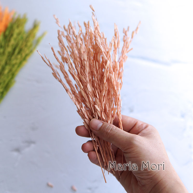 Dried Flower Bulk - 5g/Broomcorn Boyalı Kurutulmuş Doğal Çiçekler Ağartılmış