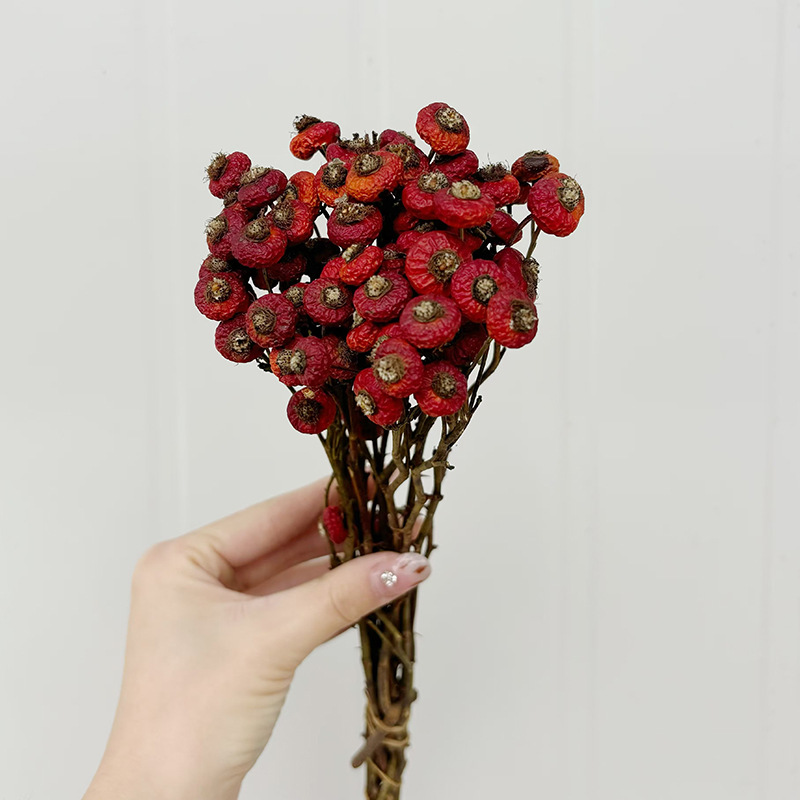 10 adet/demet kurutulmuş kuşbu - Dried Flower Bulk incelemesi ve fiyatı