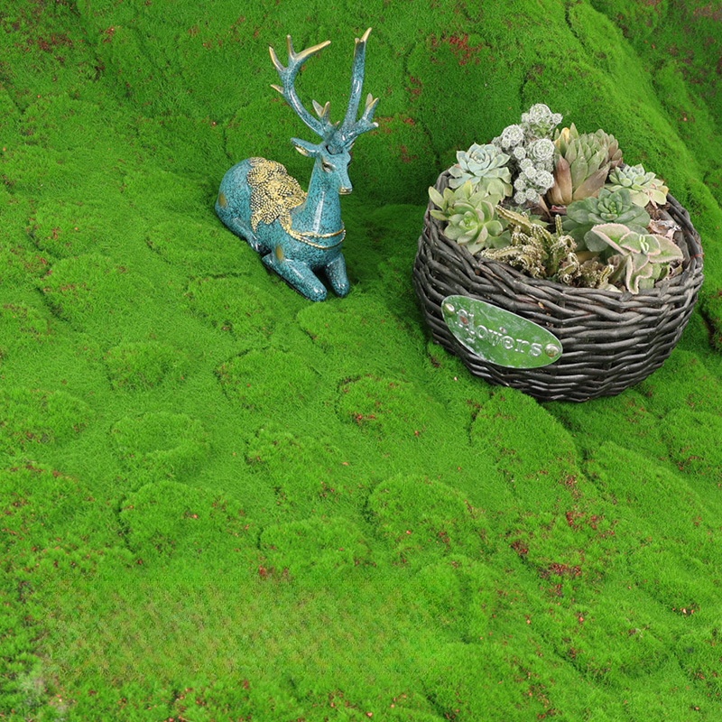 Suni Çim Yosun Simülasyon Otla - Terrarium Moss Art incelemesi ve fiyatı