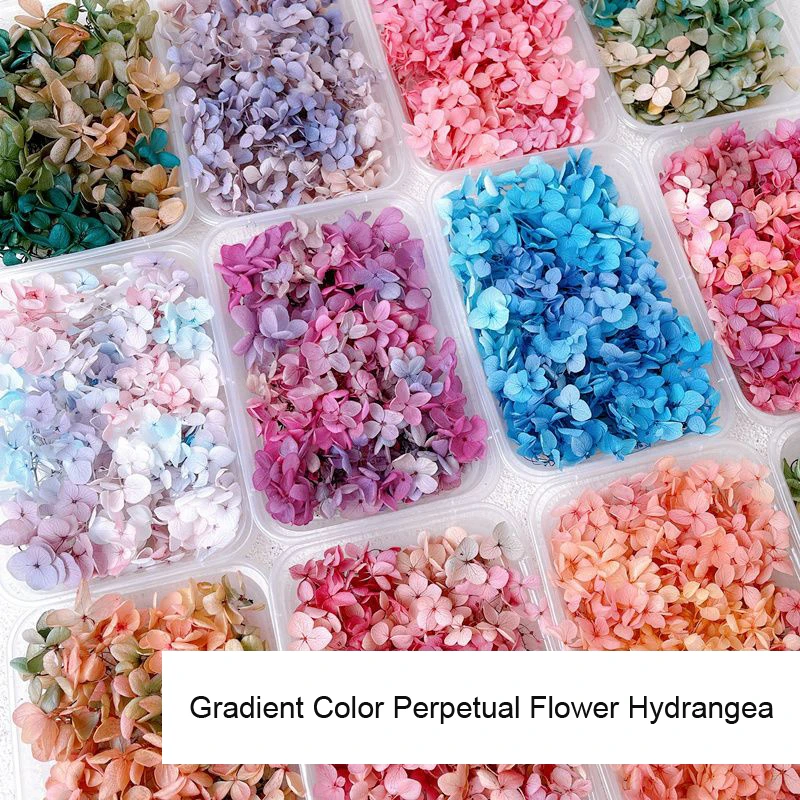 1 kutu gerçek kurutulmuş çiçek - Dried Flower Bulk incelemesi ve fiyatı