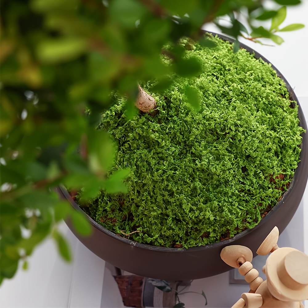 1 paket Yapay Sahte Yosun, 1.0 - Terrarium Moss Art incelemesi ve fiyatı
