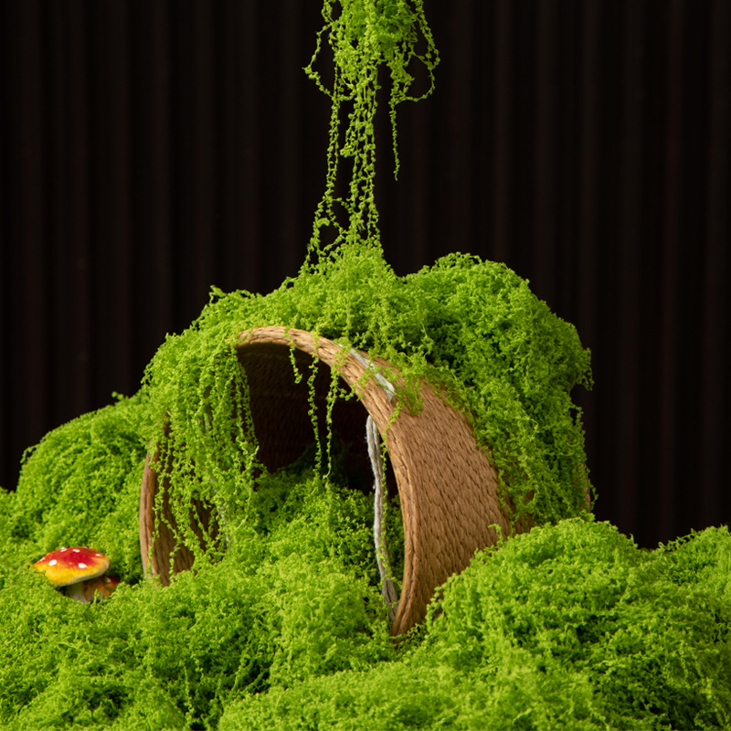 200g Ebedi Yaşam Yosun DIY El  - Terrarium Moss Art incelemesi ve fiyatı