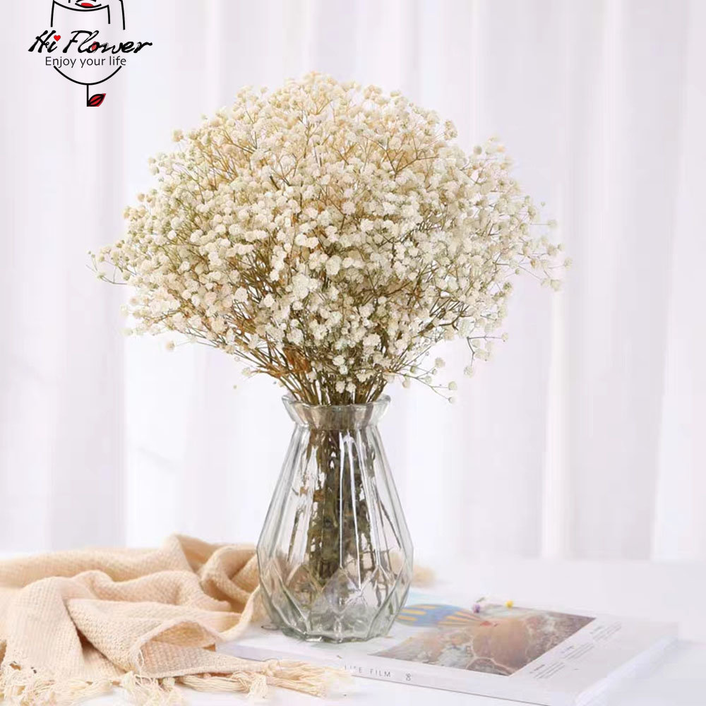 Doğal Kurutulmuş Çiçekler Koru - Dried Flower Bulk incelemesi ve fiyatı