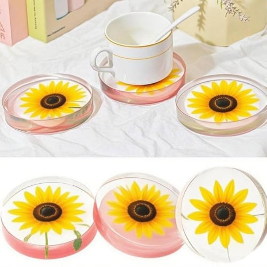 6 Bölmeli Derin Yuvarlak Barda - Coaster Mold Round incelemesi ve fiyatı