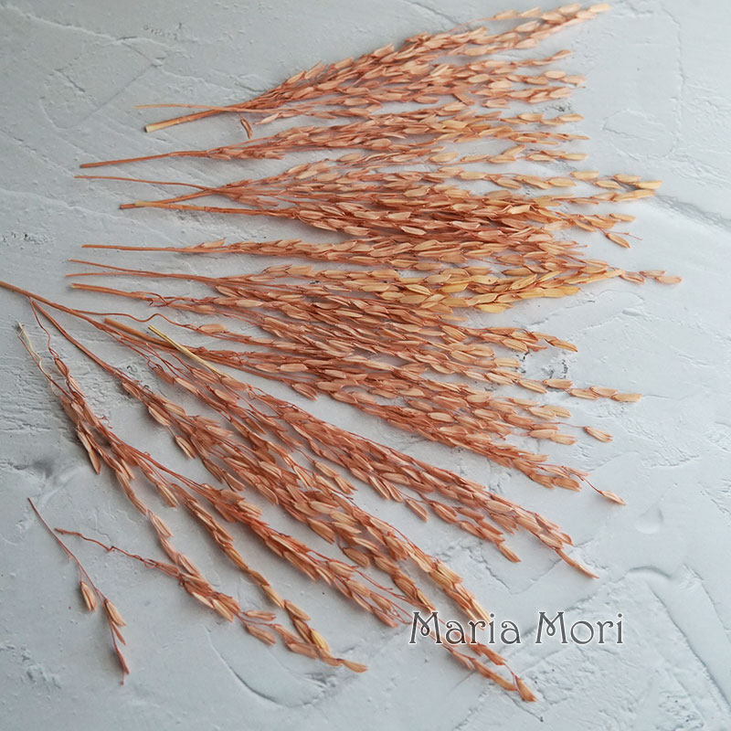 5g/Broomcorn Boyalı Kurutulmuş - Dried Flower Bulk incelemesi ve fiyatı