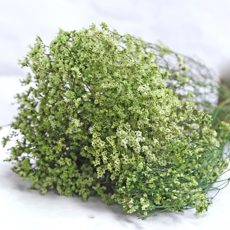 Doğal Taze Kurutulmuş Korunmuş - Dried Flower Bulk incelemesi ve fiyatı