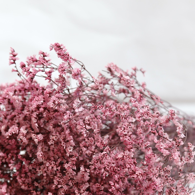 Doğal Taze Kurutulmuş Korunmuş - Dried Flower Bulk incelemesi ve fiyatı