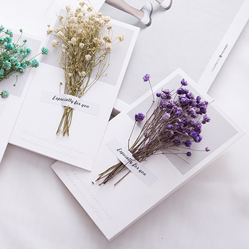 10 adet Bir Hediye Kartı Düğün - Dried Flower Bulk incelemesi ve fiyatı
