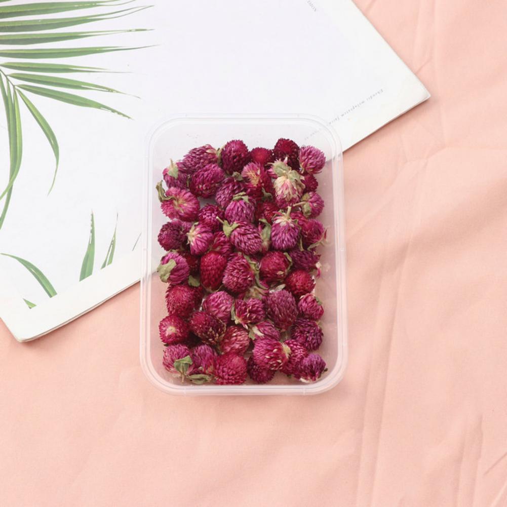 Doğal çiçekler Diy kurutulmuş  - Dried Flower Bulk incelemesi ve fiyatı