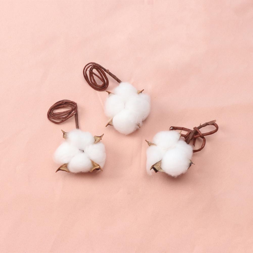 Doğal çiçekler Diy kurutulmuş  - Dried Flower Bulk incelemesi ve fiyatı