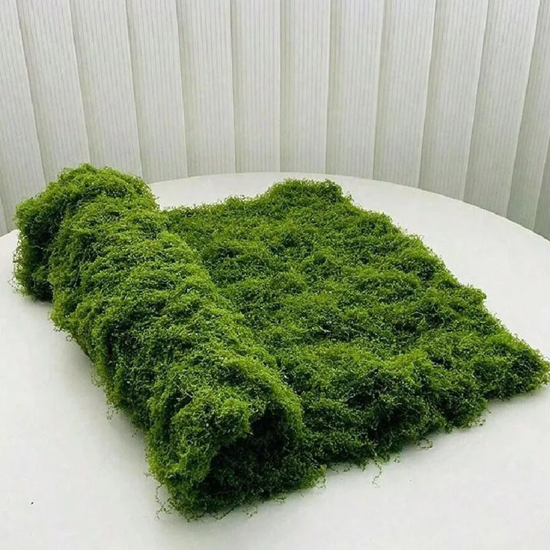 Mikro peyzaj dekorasyonu, çim  - Terrarium Moss Art incelemesi ve fiyatı