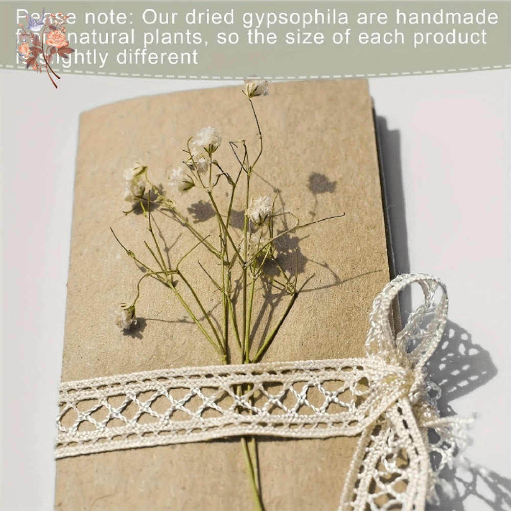 100 adet Mini Kurutulmuş Cipso - Dried Flower Bulk incelemesi ve fiyatı